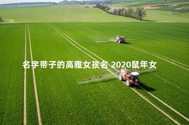 名字带子的高雅女孩名 2020鼠年女宝宝名字寓意好
